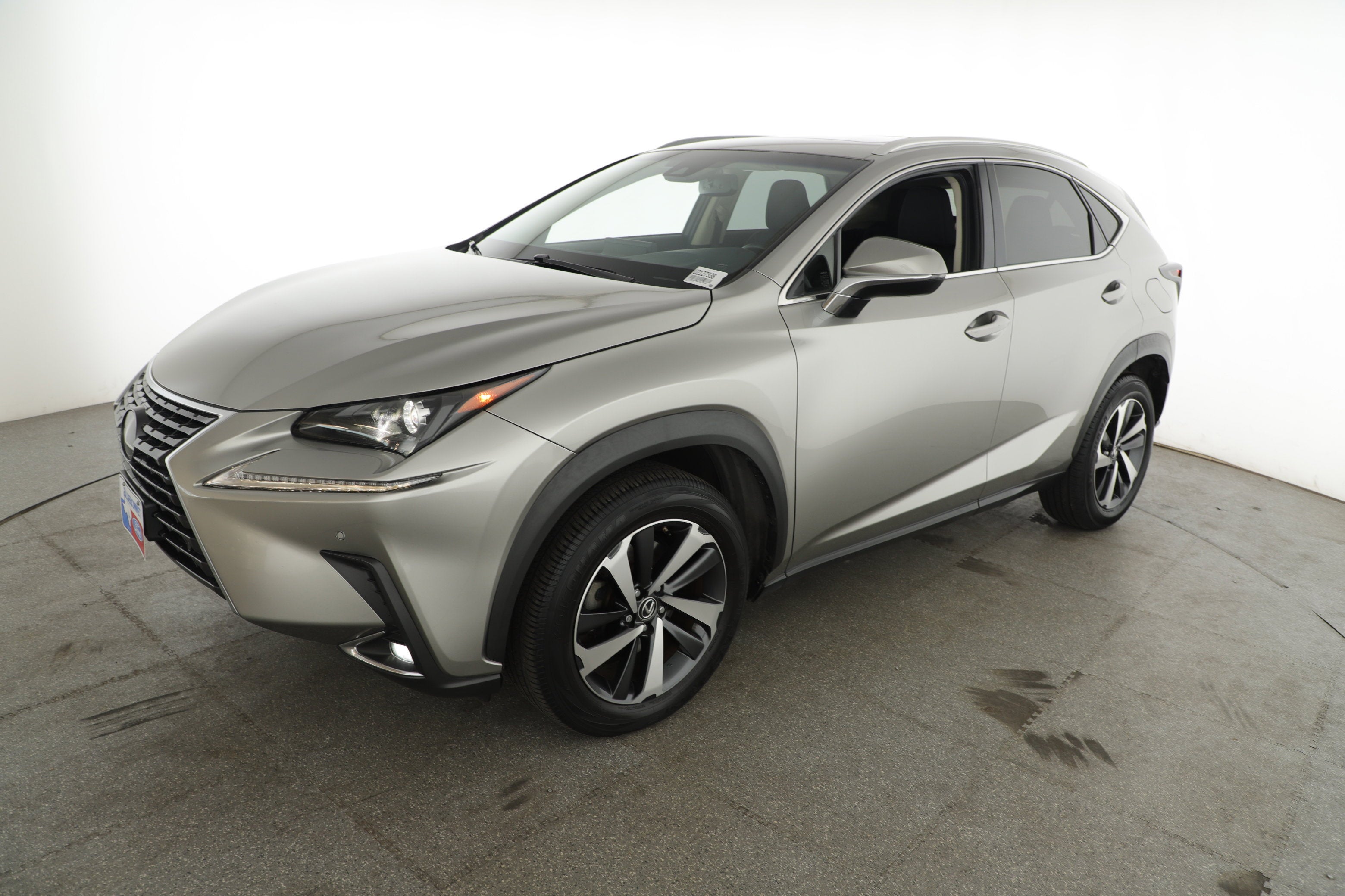 2019 Lexus NX LUXU