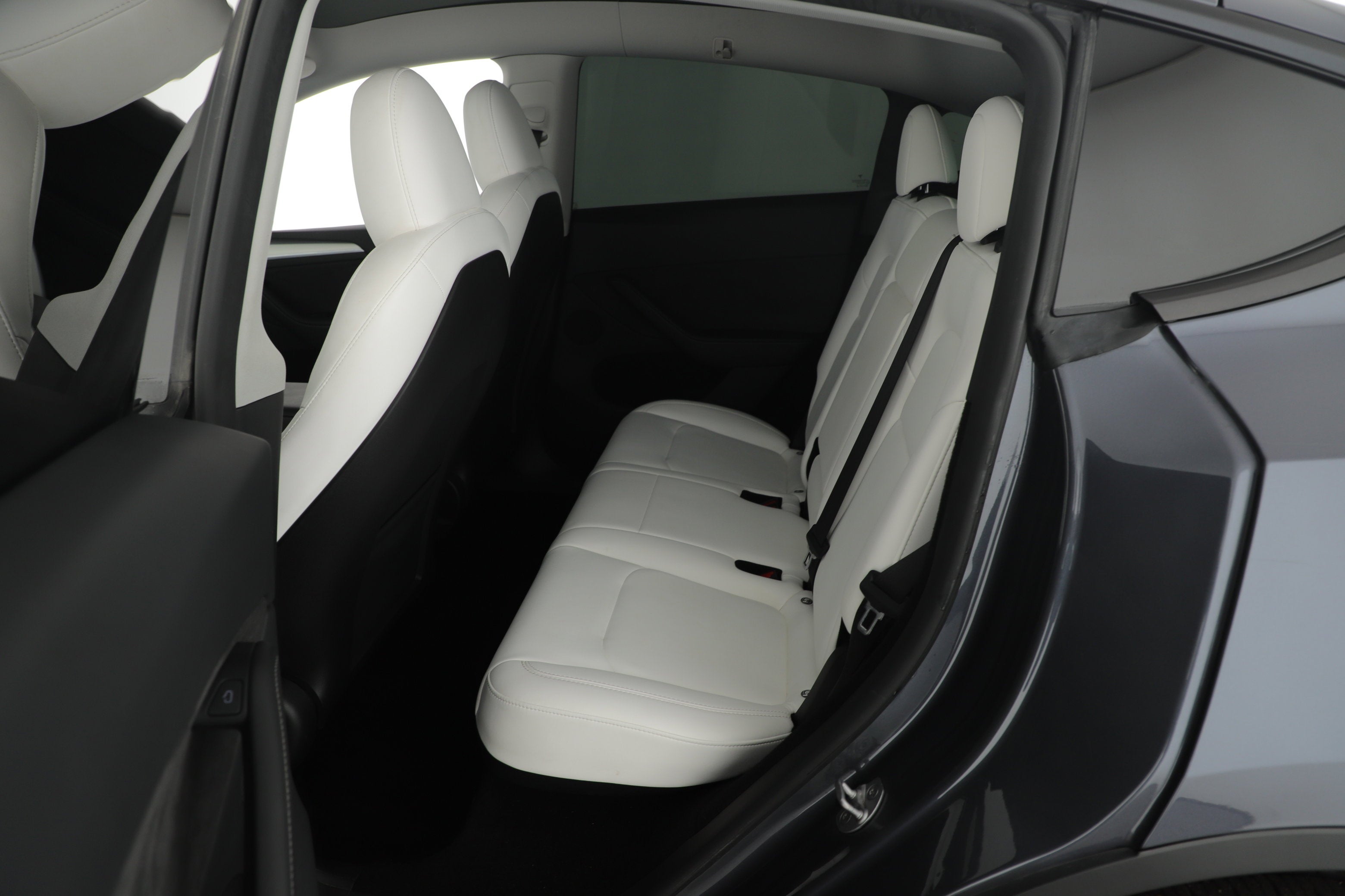 2023 Tesla Model Y Base