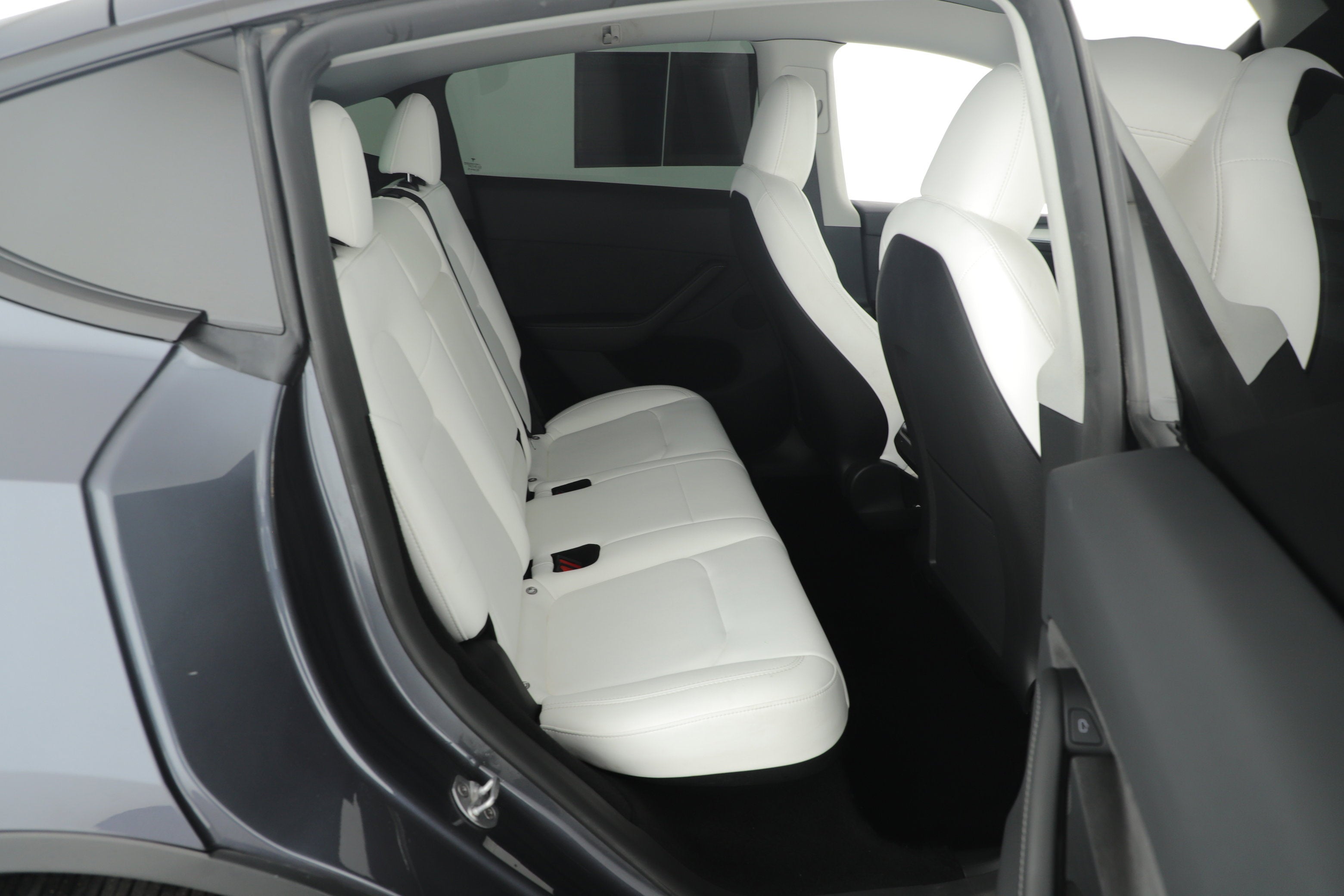 2023 Tesla Model Y Base